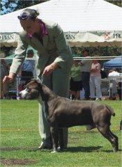 2008 ASTCQ Champ Show