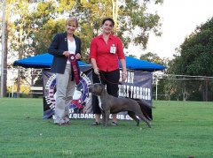 2008 ASTCQ Open Show