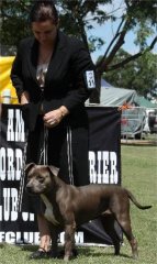 2009 ASTCQ Open Show