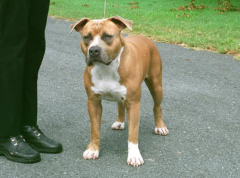 Stoner at his first shows - 2005