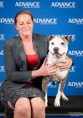 Royal Brisbane Show - 2015 - Runner Up Best of Breed - Judge: Mr Alan Small (UK - Terrier Specialist) | RNA Terrier Feature Show - Best of Breed - Judge: Mrs Karen Wilson (USA - Terrier Specialist)